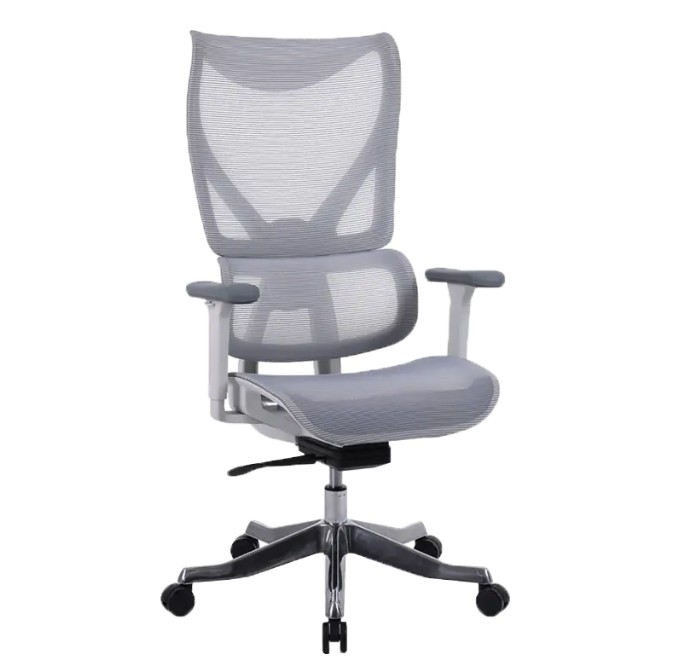 Ergonomic desk chair: height-adjustable, how can you work comfortably without it?